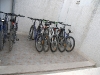 6-bol-bikes